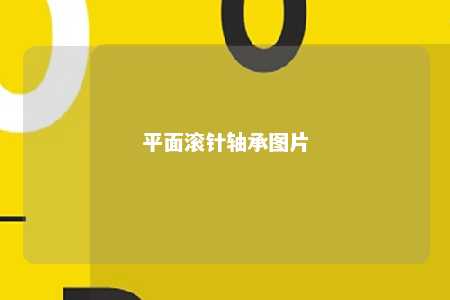 平面滚针轴承图片 