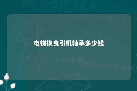 电梯换曳引机轴承多少钱 